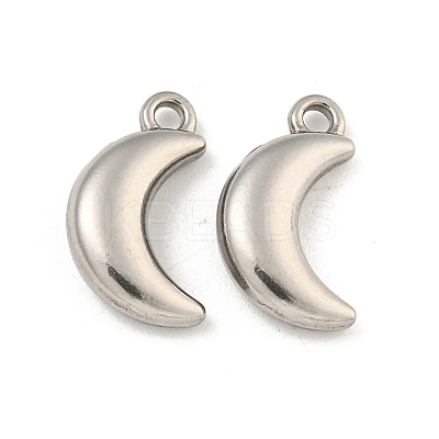 Non-Tarnish 304 Stainless Steel Charms STAS-I307-537P-1
