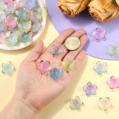 120Pcs 6 Colors Transparent Acrylic Bead Caps TACR-YW0002-44-1