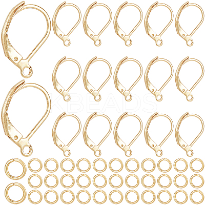 80Pcs 304 Stainless Steel Leverback Earring Findings STAS-SP0001-13-1