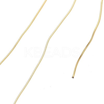 304 Stainless Steel Wire STAS-A115-01G-0.2mm-1