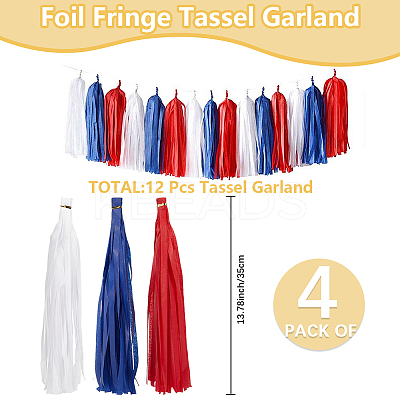 Tissue Paper Tassels Garland AJEW-WH20017-34-1