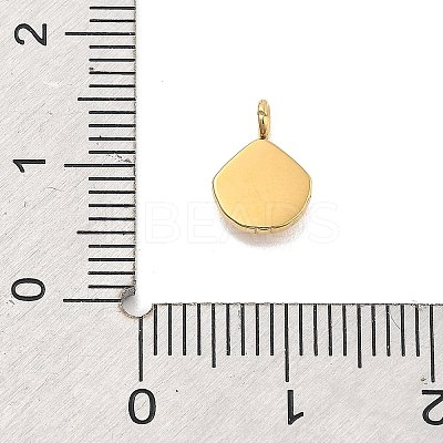 Ion Plating(IP) 304 Stainless Steel Pendants STAS-P379-14B-G-1
