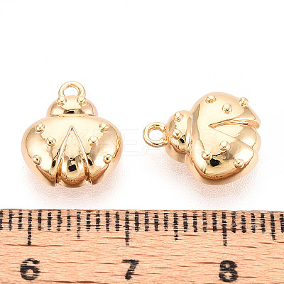 Brass Charms KK-N267-05G-1