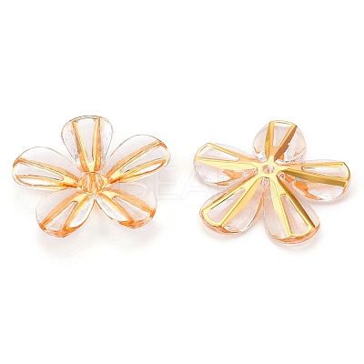 Transparent Acrylic Beads TACR-T028-18A-1