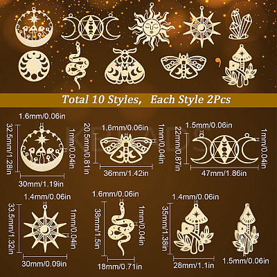 20Pcs 10 Style Ion Plating(IP) 201 & 304  Stainless Steel Pendants STAS-SC0004-74-1