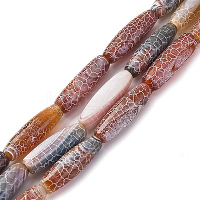 Natural Weathered Agate Beads Strands G-P570-C03-01-1