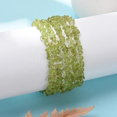 Unisex Chip Natural Peridot Beaded Stretch Bracelets BJEW-S143-51-1