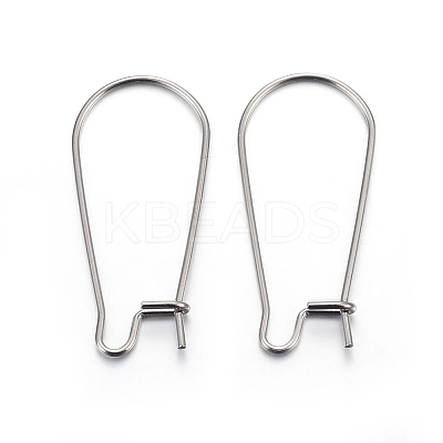 Tarnish Resistant 304 Stainless Steel Hoop Earring Findings LS-STAS-P223-01P-04-1