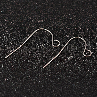 Tarnish Resistant 304 Stainless Steel Earring Hook Jewelry Findings STAS-M248-02-1