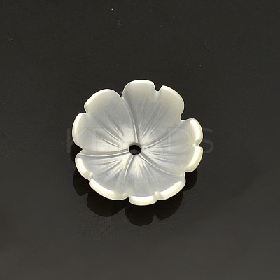 Flower Natural White Shell Beads SSHEL-N011-09-1