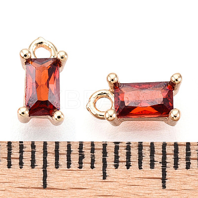 Brass Cubic Zirconia Charms LS-X1-KK-S350-367O-1