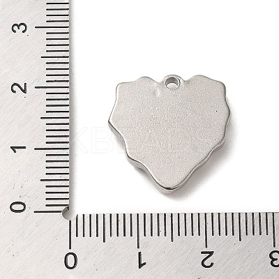 Non-Tarnish 304 Stainless Steel Pendants X-STAS-R223-19-1