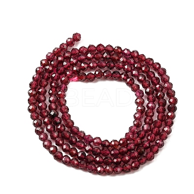 Natural Garnet Beads Strands G-J002-20-1