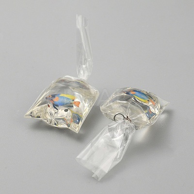 Transparent Resin Big Pendants RESI-TAC0024-01F-1
