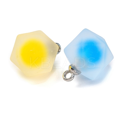 Frosted Resin Polygon Pendants RESI-U002-10-1