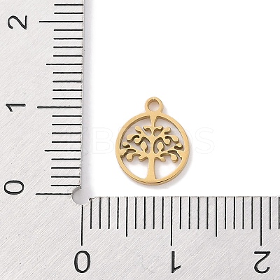 304 Stainless Steel Charms STAS-K286-01D-G-1