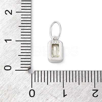 925 Sterling Silver Cubic Zirconia Charms STER-NH0014-01P-08-1
