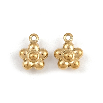 304 Stainless Steel Charms STAS-L022-559G-1