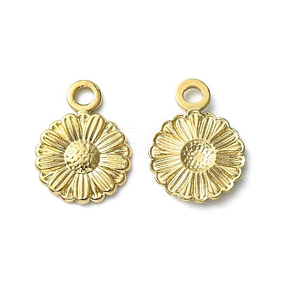 304 Stainless Steel Charms STAS-L269-056G-1