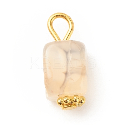 Natural Agate Pendants PALLOY-JF01586-04-1