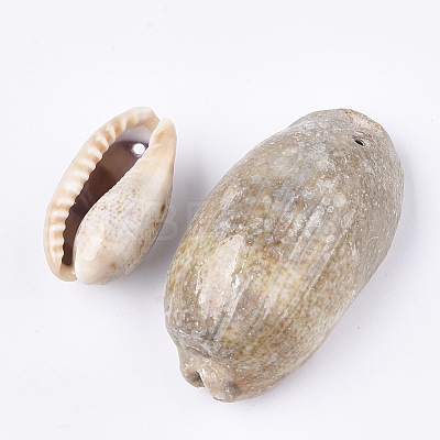 Cowrie Shell Pendants SSHEL-T008-27-1