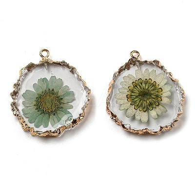Inner Dried Flower Resin Pendants X-RESI-P028-02KCG-02-1