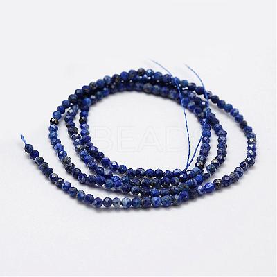Natural Lapis Lazuli Beads Strands G-K185-01-1