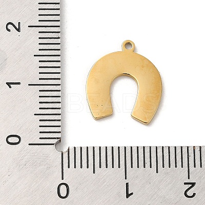 304 Stainless Steel Charms STAS-K263-09G-1