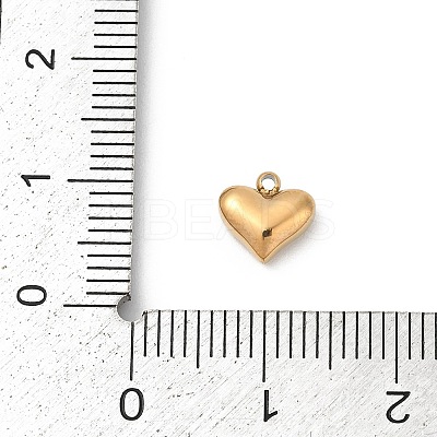 304 Stainless Steel Pendants STAS-L283-23G-1