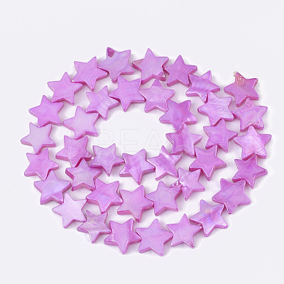 Freshwater Shell Beads Strands SHEL-S276-51-1