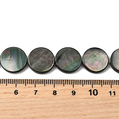 Natural Black Lip Shell Beads Strands BSHE-D300-05-14mm-1