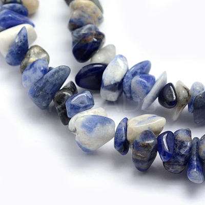 Natural Sodalite Beads Strands G-P332-21-1