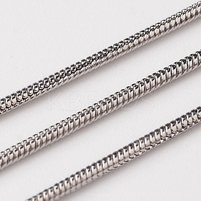 Non-Tarnish 3.28 Feet 304 Stainless Steel Round Snake Chains X-CHS-L015-06-1