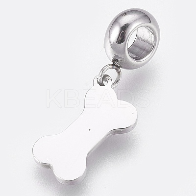 304 Stainless Steel European Dangle Charms LS-STAS-O097-19P-1