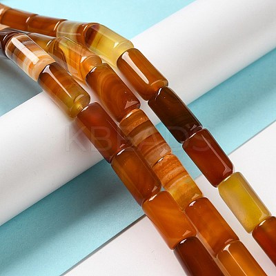 Natural Agate Beads Strands G-H295-E01-03-1