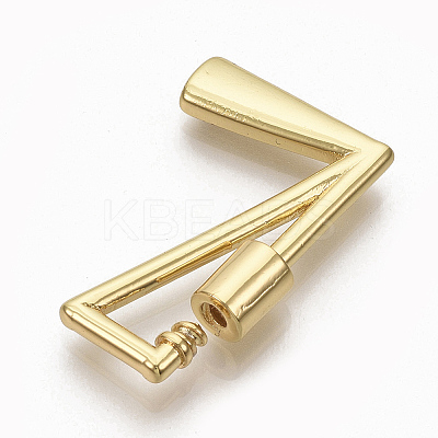 Brass Screw Carabiner Lock Charms LS-KK-T046-001G-L-NF-1