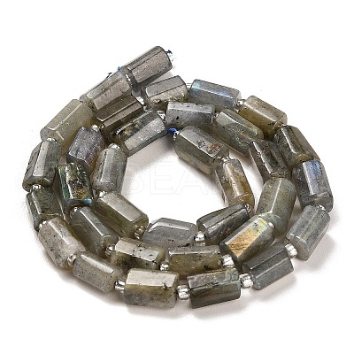 Natural Labradorite Beads Strands G-G068-A10-01-1