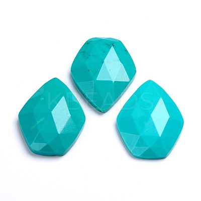 Dyed Faceted Natural Howlite Cabochons G-D763-02-1