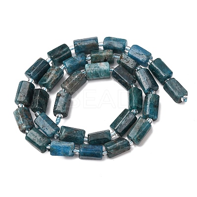 Natural Apatite Beads Strands G-L655-B03-01-1