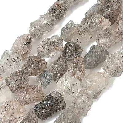 Natural Black Soya Bean Raw Ore Beads Strands G-M453-D08-1