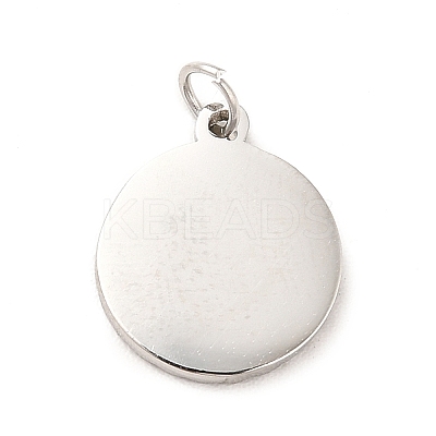 Non-Tarnish 304 Stainless Steel Charms STAS-G295-48P-1