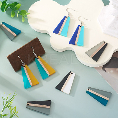 10Pcs 5 Colors Resin & Wood Pendants RESI-TA0004-50-1