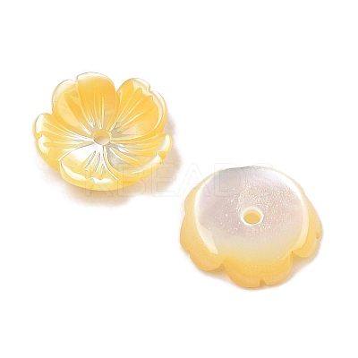 Natural Yellow Shell Carved Beads SSHEL-I026-12A-01-1