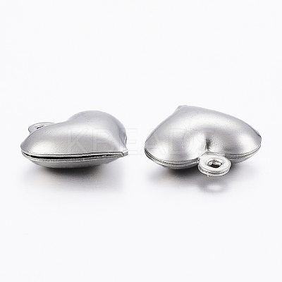 Non-Tarnish 304 Stainless Steel Charms LS-X-STAS-H413-16P-1