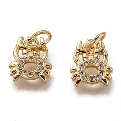 Brass Micro Pave Clear Cubic Zirconia Charms ZIRC-B002-48G-1