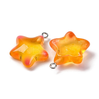 Marine Series Transparent Resin Pendants RESI-E031-02P-05-1