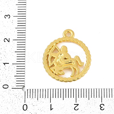 Twelve Constellations Alloy Pendants LS-PALLOY-Q006-01D-G-1