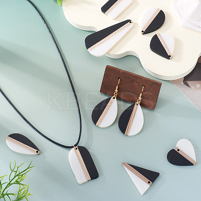 20Pcs 10 Styles Resin & Natural Wood Pendants RESI-TA0004-48-1
