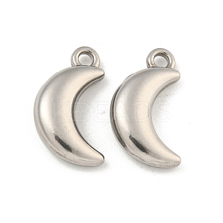 Non-Tarnish 304 Stainless Steel Charms STAS-I307-537P-1