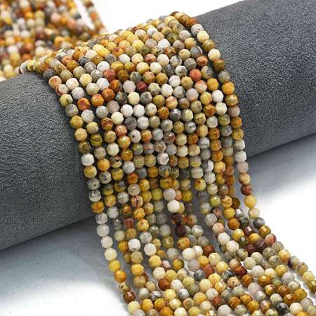 Natural Crazy Lace Agate Beads Strands G-A260-A11-01-1